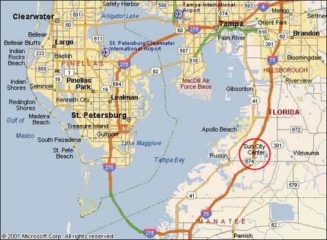 Sun City Center is where we stay.  This map shows everywhere we go! Ruskin Florida, Florida Map, Map Of Florida, Sun City, Gulf Of Mexico, Florida Travel, Gulf Coast, City Center, Marine Life