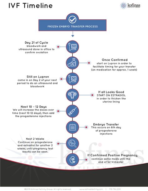 An IVF Timeline [Infographic] | Kofinas Fertility Conception Timeline, Ivf Implantation, Ivf Timeline, Ivf Preparation, Baby Infographic, Fertilization Process, Infographic Timeline, Frozen Embryo Transfer, Home Pregnancy Test