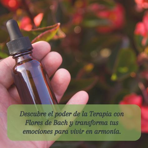 🌸✨ Terapia con Flores de Bach: Restaura tu Equilibrio Emocional y Encuentra la Felicidad 🌟💖 ¿Sabías que las flores pueden ayudarte a sanar desde adentro? 🌼🌿 Descubre el poder de la Terapia con Flores de Bach y transforma tus emociones para vivir en armonía. 🌈💆‍♀️ 🌺 Beneficios: 🌱 Equilibrio emocional 🌱 Reducción del estrés y la ansiedad 🌱 Mejora del bienestar general ¡Regálate un momento de paz y bienestar! 🌿💫 #FloresdeBach #TerapiaNatural #BienestarEmocional #Felicidad #EquilibrioInterior... Reiki