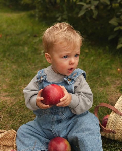 oohhhh yes 🌳👋🏼🧺 —— apple picking season has started 🙂. RESTOCK of the most extraordinary overalls in the world 🙃… and they are selling like hot cake, so we already have ANOTHER shipment on the way . 👀 surprise : —— adult version finally available !! ( I personally wear it every week for 6 months) Exclusivity in Quebec 🏠. Baby Apple Orchard Pictures, Apple Picking Baby Pictures, Fall Apple Picking Aesthetic, Baby In Overalls, Apple Picking Photoshoot, Apple Orchard Pictures, Baby 2 Announcement, Apple Picking Season, Apple Picking Outfit