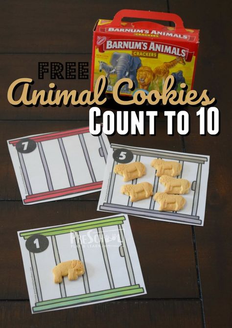 FREE Animal Cookies Count to 10 Activity. This is such a fun math activity to help toddler, preschool, and kindergarten age kids practice counting while having fun with animals #preschool #kindergarten #mathactivity Zoo Activities Preschool, Animal Preschool, Zoo Animals Preschool, Zoo Preschool, Thanksgiving Activities Preschool, Animal Cracker, Counting Activities Preschool, Zoo Activities, Preschool Counting