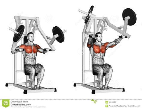 Exercising. Press Hammer Strength Gym Simulator - Download From Over 65 Million High Quality Stock Photos, Images, Vectors. Sign up for FREE today. Image: 59545664 Bench Press Workout, Chest Workout For Men, Latihan Dada, Best Chest Workout, Chest Press, Chest Muscles, Workout Chart, Upper Body Strength, Chest Workouts