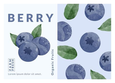 Premium Vector | Blue berry packaging design templates watercolour style vector illustration Berry Packaging, Blueberry Tea, Tea Labels, Berry Tea, Packaging Template Design, Blue Berry, Organic Fruit, Tea Packaging, Sweet Tea