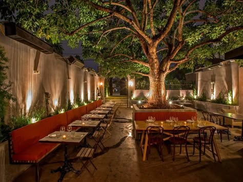 Patric Kuh Lauds Terrine's Mastery of Contrasts - Eater LA Outdoor Restaurant Ideas, Outdoor Restaurant Patio, Wine Aesthetic, Outdoor Restaurant Design, Restaurant Patio, Outdoor Cafe, Garden Cafe, Better Homes And Garden, Sopot