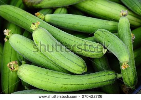 Sponge Gourd Vegetable Sponge( Luffa cylindrica Roem.) Indian Vegetables, Sponge Gourd, Gourd Vegetable, Luffa Sponge, Gold Vault, Spinach Seeds, English Names, Popular Photo, Sweet Dumplings