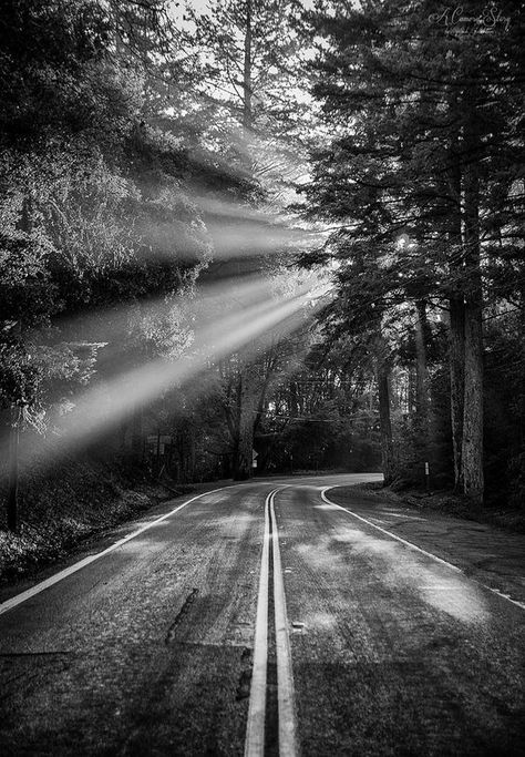 High Contrast Landscape Photography, Long Road Tattoo, Country Road Tattoo, Tattoo Woods Forest, Open Road Tattoo, On The Road Tattoo, Road Tattoo Design, Sunlight Tattoo, Roadtrip Tattoo