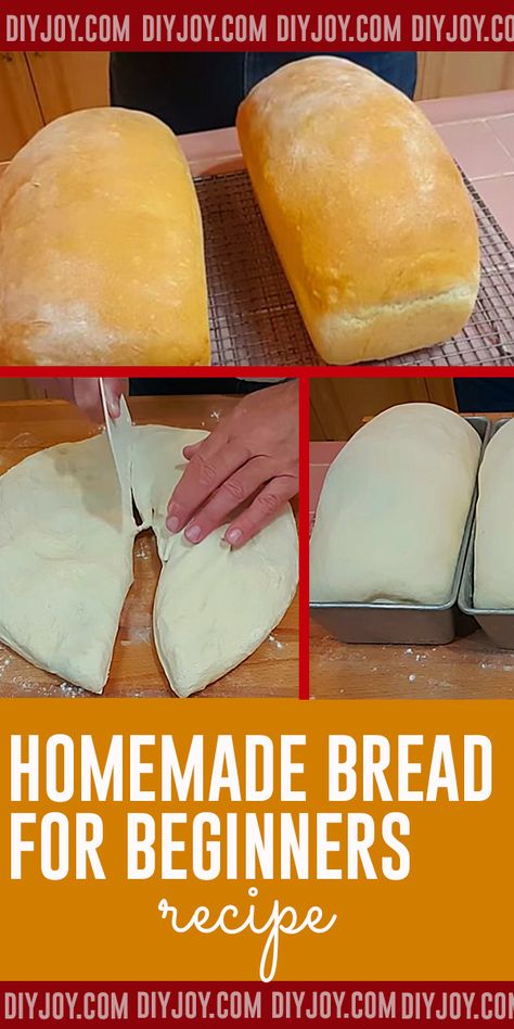 Homemade Bread Recipe for Beginners Homemade Bread For Beginners, Bread Recipe For Beginners, Bread For Beginners, Beginners Bread Recipe, Amish Bread, Homemade Bread Recipe, Recipe For Beginners, Pain Sans Gluten, Homemade Breads