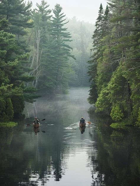 Boundary Waters Minnesota, Boundary Waters Canoe Area Wilderness, Boundary Waters Canoe Area, Boundary Waters, Tree Illustration, Canoeing, Gods Creation, Boundaries, Places To See