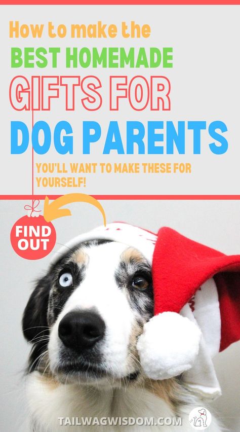 cute santa dog looks on at great DIY gifts for dog parents Dog Gifts For People, Diy Dog Gifts, Quick Diy Gifts, Dogs Diy Projects, Dog Presents, Quick Diy, Dog Projects, Nice List, Easy Diy Gifts