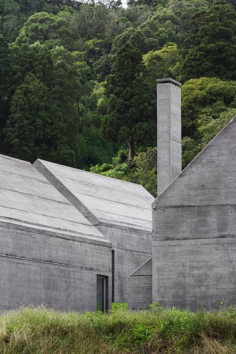 a f a s i a: Souto de Moura Concrete Houses, Concrete Architecture, Concrete Home, Concrete Roof, Concrete House, Brutalist Architecture, Architectural Photography, Architecture Exterior, Brutalism