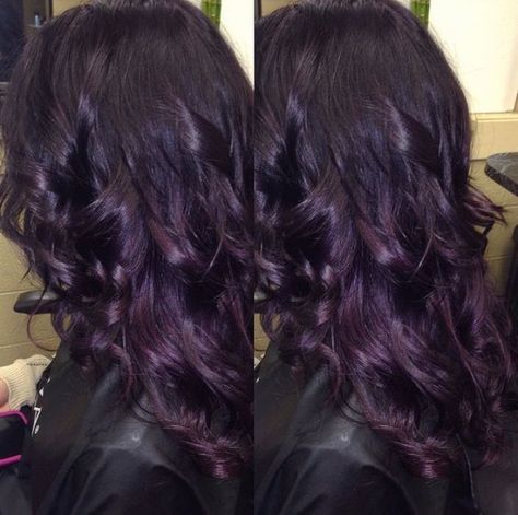 Deep Plum Hair, Deep Purple Hair, Dark Purple Hair Color, Hair Color Images, Dark Purple Hair, Plum Hair, Violet Hair, Hair Color Purple, Burgundy Hair