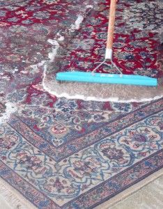 Steam Master on Carpet Wash, Cleaning Area Rugs, Carpet Repair, Carpet Cleaning Hacks, Buying Carpet, Professional Carpet Cleaning, Carpet Cleaning Service, Diy Carpet, Rug Cleaner