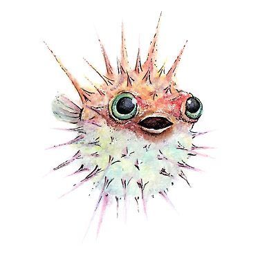 Puffer Fish Art, Blow Fish, Sea Life Art, Watercolor Fish, Puffer Fish, Up Tattoo, Bawah Air, Fish Illustration, Fish Drawings