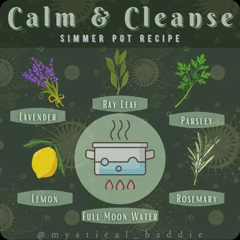 Home Cleanse Simmer Pot, Simmer Pot Recipes For Abundance, Simmer Pots For Cleansing, Simmer Pot Recipes Healing, Ways To Refresh Yourself, Healing Simmer Pot, New Home Simmer Pot, Simmer Pot For Protection, Cleansing Simmer Pot Recipes