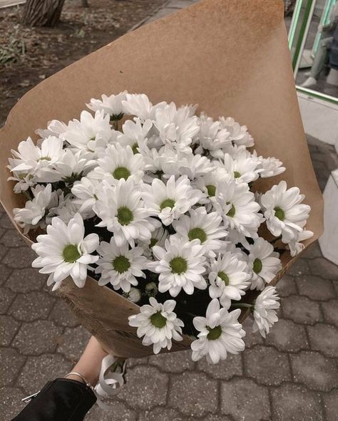 Daisy Mobile, Chrysanthemum Bouquet, Virtual Flowers, White Chrysanthemum, Boquette Flowers, Nothing But Flowers, Chrysanthemum Flower, Flower Therapy, Flowers For You