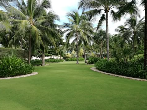 Resort Landscaping, Resort Landscape Design, Lawn Garden Ideas, Resort Landscape, Resort Garden, Tropical Backyard Landscaping, Hotel Garden, Pots Garden, Tropical Backyard