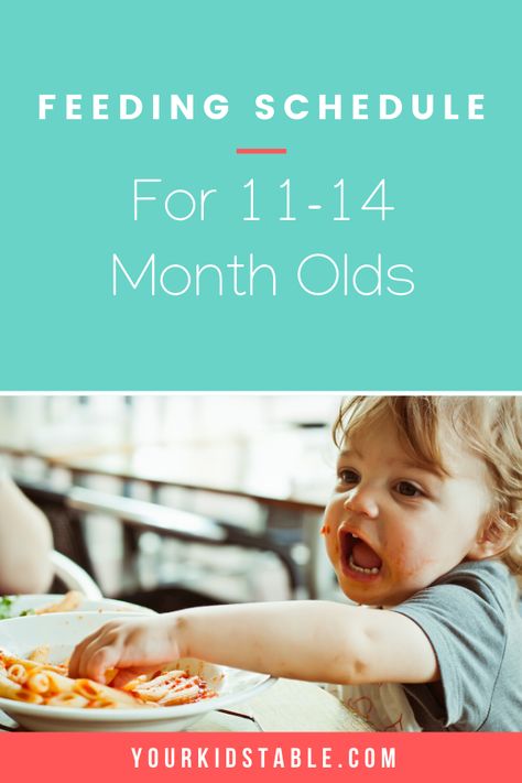 11, 12, and 13 months plus can be a difficult time to determine a feeding schedule. Get sample schedules for 1 year olds from a feeding expert and mom #feedingkids #kids #feedingschedule 6 Month Old Feeding Schedule, Nursing Schedule, Baby Food Schedule, 11 Month Old Baby, 9 Month Old Baby, Baby Feeding Schedule, Baby Schedule, Feeding Toddlers, Baby Eating