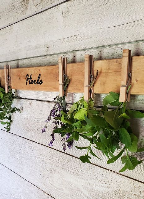 Diy Coop, Herb Drying Rack, Egg Facts, Herb Rack, Herb Drying, Medicinal Herbs Garden, Succulent Gardening, Chicken Diy, Fresh Eggs