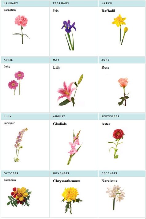 birth month flowers for my tattoo, all my loves have the prettiest flowers too eekkk can't wait! Flowers For Each Month, Wildflowers Tattoo, Flower Bouquet Tattoo, Bouquet Tattoo, Flower Sleeve, Birth Flower Tattoos, Flower Meanings, Trendy Flowers, Family Tattoos