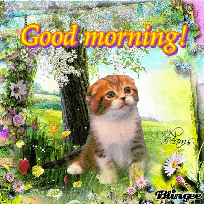 10 Happy & Fun Good Morning Animated Gifs Good Morning God, Friendship Rose, Good Morning Cat, Good Morning Happy Thursday, Friday Pictures, Good Morning Love Gif, Good Morning Sister, Bee Pictures, Morning Cat