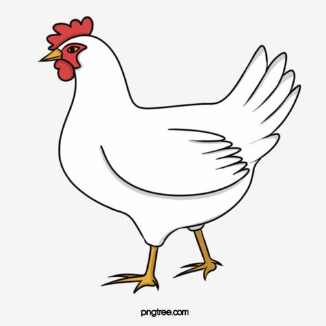 Chicken Clipart Black And White, Chicken Drawing Easy, Chicken Drawings, Chicken Cartoon, Painted Chicken, Chicken Clipart, Chicken Animal, Chicken Vector, Chicken Png