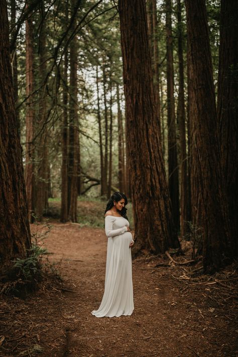 Trees Maternity Shoot, Maternity Photography Trees, Maternity Photography Woods Outdoor, Maternity Pictures In Forest, Redwoods Maternity Photos, Maternity Photo Shoot Ideas Forest, Maternity Mood Board, Maternity Photography In Woods, Pregnant Session Ideas