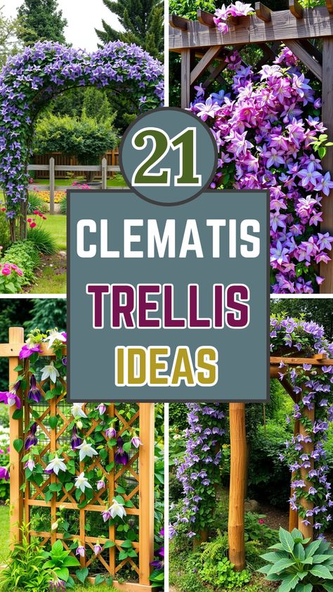 Enhance your garden with stunning clematis trellis ideas! 🌿✨ From rustic wooden frames to elegant metal arches, discover creative ways to support your climbing clematis and add vertical beauty to your outdoor space. Whether you're looking for DIY inspiration or ready-made options, these trellis designs will help your clematis thrive and bloom beautifully! 🌸🌼

#ClematisTrellis #GardenTrellis #VerticalGardening #FlowerGardening #GardenDesign Clematis Trellis Ideas, Clematis Trellis, Climbing Clematis, Trellis Ideas, Metal Arch, Trellis Design, Creative Diy Projects, Garden Trellis, Garden Lovers