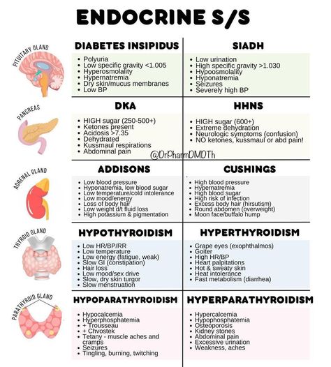 Home / X Endocrine Med Surg, Hormones Nursing, Endocrine System Nursing, Nursing School Studying Cheat Sheets, Nursing School Essential, Nursing School Motivation, Medical School Life, Gastrointestinal Disease, Nurse Study Notes