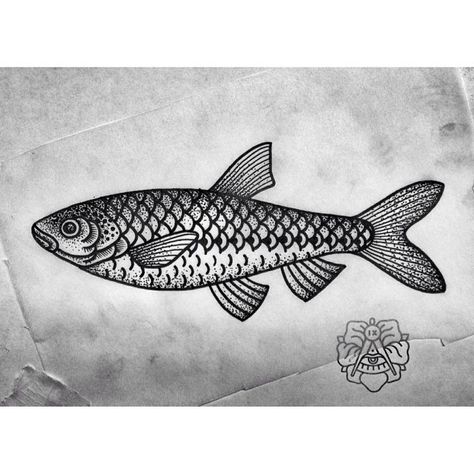 Чебак. #fish #tattoo #tattooflash #hermanix #dotwork Salmon Tattoo, Nouveau Tattoo, Fish Tattoo, Fish Drawings, Black Ink Tattoos, American Traditional Tattoo, Birds Tattoo, American Traditional, Fish Art