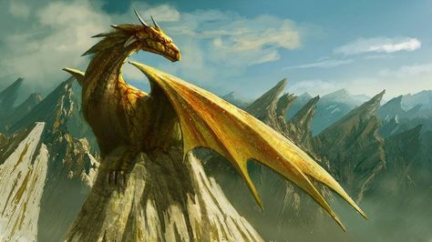 Western Dragons Inheritance Cycle, Dragon Rouge, Types Of Dragons, Creature Fantasy, Bronze Dragon, Yellow Dragon, Dragon Rider, Gold Dragon, Dragon Pictures