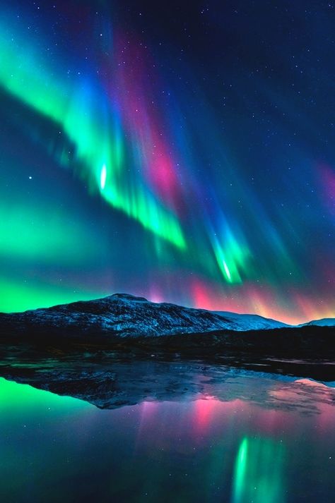 northern lights Lights In The Sky, Aurora Lights, Northern Lights (aurora Borealis), Aurora Borealis Northern Lights, Cruise Outfits, The Northern Lights, The Aurora, Natural Phenomena, Beautiful Sky