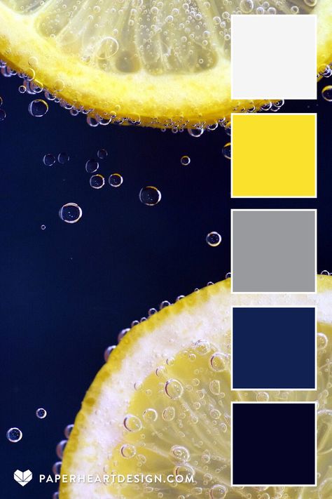 Yellow And Navy Color Palette, Lemon Yellow Color Palette, Utility Makeover, Pickle Bar, Summer Branding, Gray Pantone, Yellow Palette, Color Palette Yellow, Color Schemes Colour Palettes