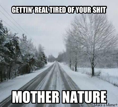 Really sick of it Mother Nature! Winter Humor, Snow Humor, Hate Winter, Winter Quotes, What’s Going On, Bones Funny, The Words, True Stories, Funny Images