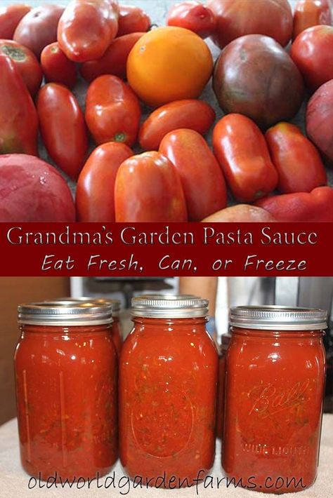 Best Canned Pasta Sauce Recipe, Pasta Sauce Recipes Tomato Fresh Canning, Can Pasta Sauce Recipe, Pasta Sauce To Can, Canning Pasta Sauce Recipe, Pasta Sauce Recipes For Canning, Canning Pasta Sauce With Fresh Tomatoes, Canned Pasta Sauce Recipe, Pasta Sauce For Canning