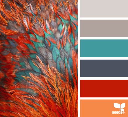 Feather hues Red Orange Gray Color Palette, Color Ways Inspiration, Southwestern Color Palette, Colour Pallettes, Color Wheels, Color Board, Color Schemes Colour Palettes, Colors Palette, Color Palate