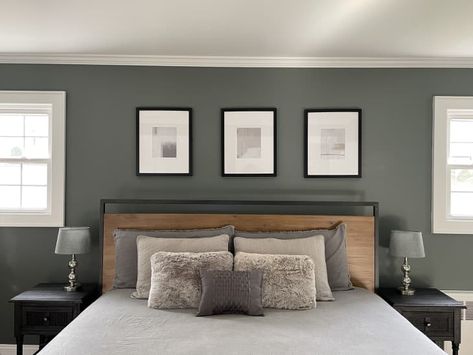 Sherwin Williams Grays, Homburg Gray, Fav Color, Homburg, Monochromatic Color Scheme, Custom Shades, Room Paint Colors, Storing Paint, Home Center