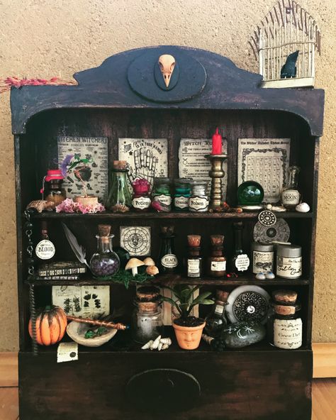 1:12 miniature cupboard Halloween Cabinet Of Curiosities Miniature, Miniature Oddities Diy, Miniature Halloween Scenes, Halloween Miniatures Diy, Diy Oddities, Potion Display, Witch Cupboard, Wizards House, Miniature Cupboard