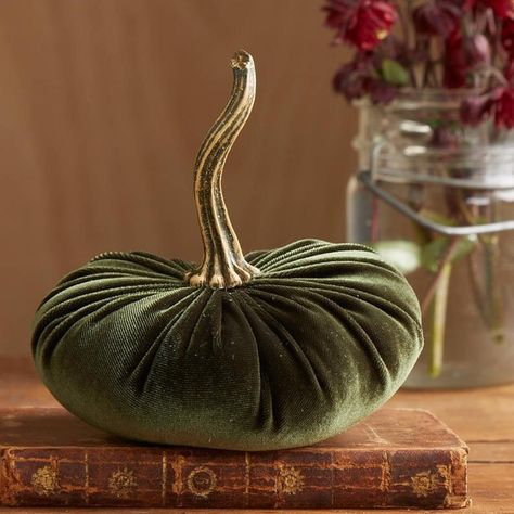 PRICES MAY VARY. 【Quantity】: Package includes 1/4 Pcs small velvet pumpkins in pink, green, blue, gold, orange. These velvet pumpkins add a subtle elegance and sophistication, allowing you to reach for them to decorate your home again and again. Use them to create a warm atmosphere and bring some soft fall flair to your space. 【Size】: Each artificial pumpkin measures about 6" wide and 6" tall. Small and cute, these fall pumpkin decorations make a great statement in table centerpieces, tiered tra Green Pumpkins, Pumpkins Decor, Halloween Table Centerpieces, Holiday Mantle, Halloween Fest, Rustic Modern Wedding, Artificial Pumpkins, Foam Pumpkins, Harvest Thanksgiving