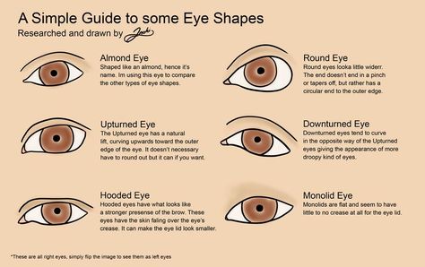 Protruding Eyes, Wide Set Eyes, Eye Parts, Deep Set Eyes, Almond Shaped Eyes, Almond Eyes, C Curl, Eyes Drawing, Types Of Eyes