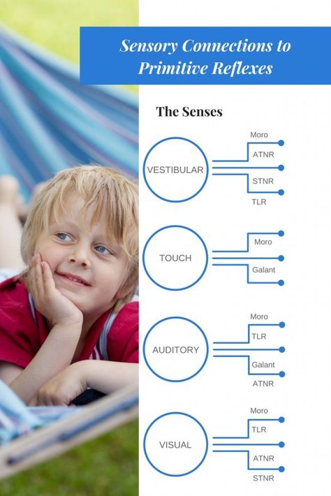 sensory and primitive reflex Reflex Integration, Primitive Reflexes, Occupational Therapy Kids, Pediatric Physical Therapy, Vision Therapy, Integrated Learning, Pediatric Occupational Therapy, Motor Development, Learning Tips