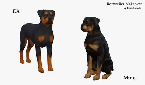 Blue Ancolia, Lotes The Sims 4, Sims Pets, Sims 4 Cas Mods, Cc Folder, Sims 4 Download, The Sims 4 Packs, Sims 4 Body Mods, Sims Four