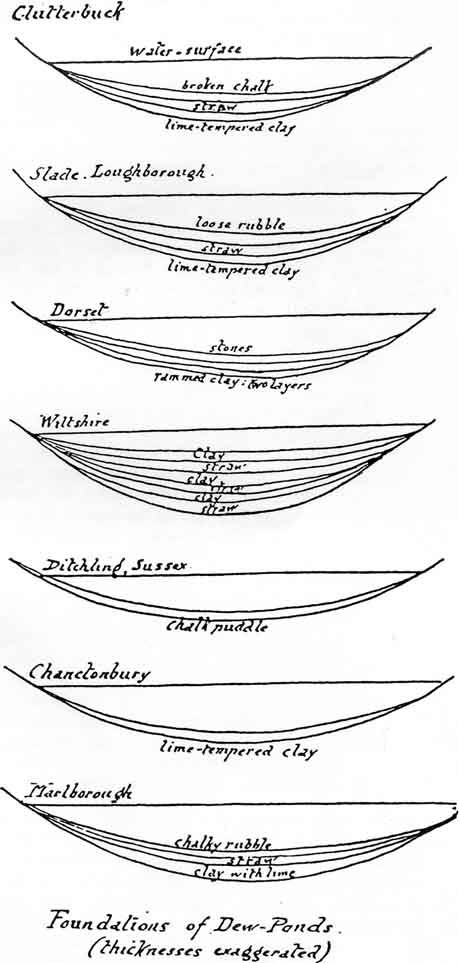 Dewponds - Dew Ponds - Martin - School Nature Study Union Permaculture Pond Design, Wetland Ecosystem, Retention Pond Landscape Architecture, Constructed Wetland, Diy Ponds Backyard, Retention Pond, Self Sufficient Homestead, Pond Construction, Outdoor Ponds