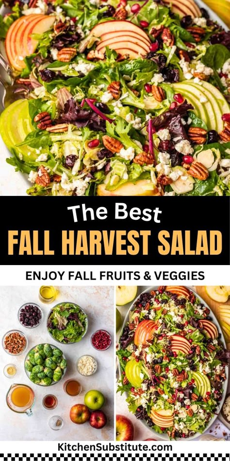 Celebrate the flavors of fall with a delightful Fall Harvest Salad, a quick and wholesome choice for any busy evening. This recipe offers a blend of crisp apples, tangy vinaigrette, and hearty greens, making it a nutritious option that's ready in a snap. Pin now for a simple and delicious dinner solution! Fall Apple Salad Recipe, Fall Salads For A Crowd, Salad Recipes With Apples, Fall Apple Salad, Easy Fall Salad, Autumn Harvest Salad, Fall Lunch Ideas, Vet Party, Harvest Salad Recipes