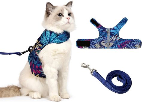 Cat Injuries, Best Cat Harness, Cat Bed Pattern, Kitten Harness, Dog Accesories, Enchanting Wedding, Journey Of Love, Cat Bed Furniture, Interactive Cat Toys