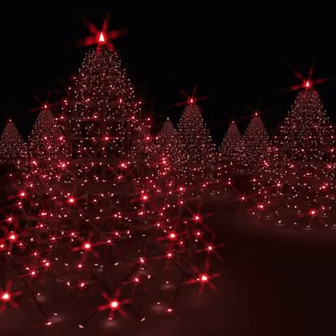 Happy Nation, Animated Christmas, Christmas Gif, Christmas Scenes, Noel Christmas, Christmas Tree Lighting, Christmas Love, Christmas Images, Christmas Aesthetic