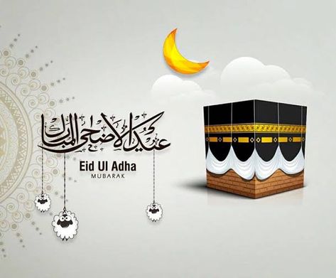 Eid Ul Azha Mubarak Pics, Eid Mubarak Wallpaper Hd, Eid Ul Adha Wallpaper, Eid Mubarak 2022, Eid Mubarak Hd Images, Eid Ul Azha Mubarak, Eid Ul Adha Images, Eid Al Adha Wishes, Eid Mubarak Messages