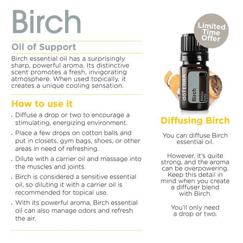 Birch Essential Oil, American Folklore, Doterra Oils Recipes, Fall Diffuser Blends, Distillation Process, Tree Stands, Bow And Arrow, Doterra Oils, Birch Trees