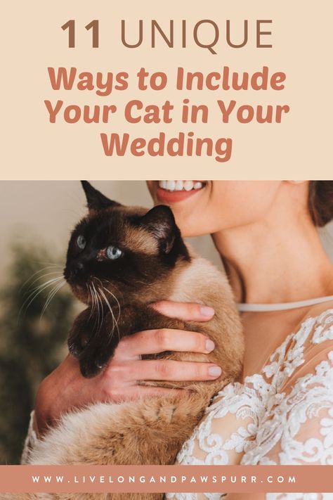 Looking for ways to include your cat into your wedding? There are so many creative ways to include your beloved feline family member into your special day. Here are 11 of the sweetest and most popular ways you can bring incorporate your cat into your wedding day! #catlover #furmama #gettingmarried #weddinginspo #catsinweddings Wedding Cat Ideas, How To Include Pets In Wedding, Incorporating Cats In Wedding, Cat Guide, Cat Questions, Cat Advice, Cat Tips, Cats 101, Huge Dogs