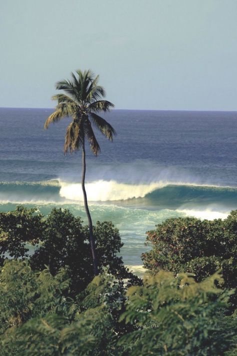 Brazil Beach Aesthetic, Beach Shack Aesthetic, Beachy Backgrounds, Shack Aesthetic, H2o Aesthetic, Beachy Wallpaper, Brazil Beaches, Old Money Summer, City By The Sea