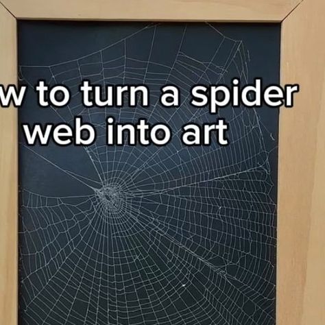 Spider Web Frame Diy, How To Preserve Spider Web, Preserve Spider Web, Preserving Spider Web, Framed Spider Web, Preserved Spider Web, Spider Web Diy, Spider Web Art, Preservation Art